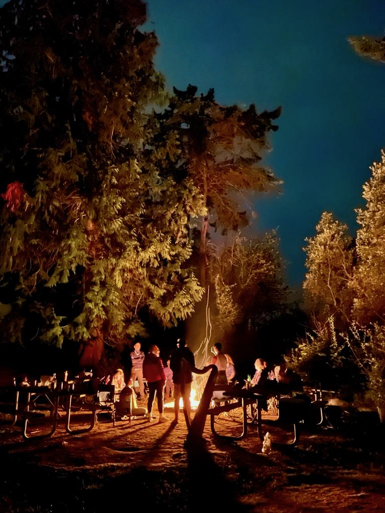 Evening cèilidhs at the campfire are so much fun. people around a campfire at night with a harp